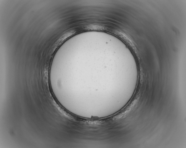 X0000113041041200909241430