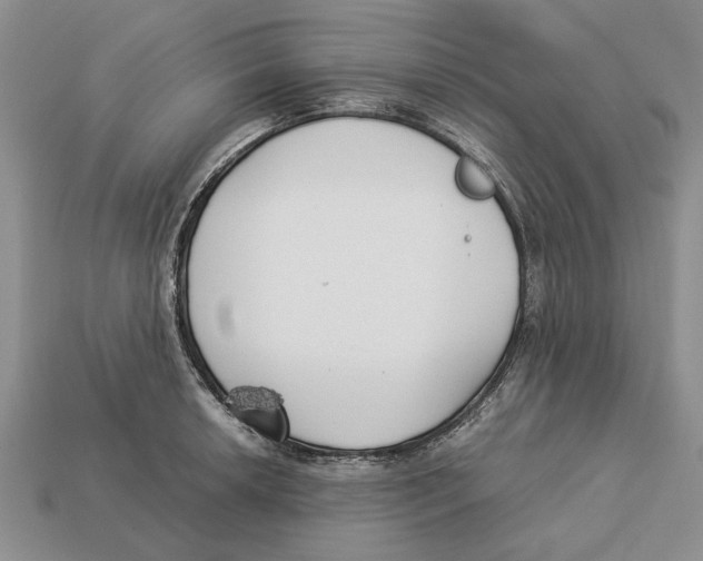 X0000113041042200909241430