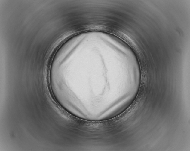X0000113041043200909241430