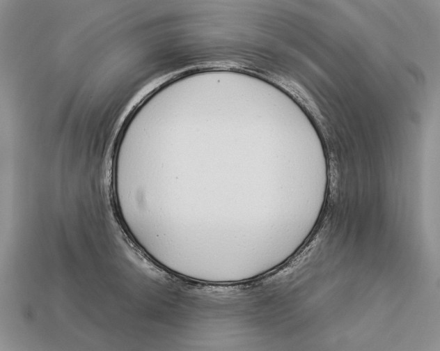 X0000113041044200909241430