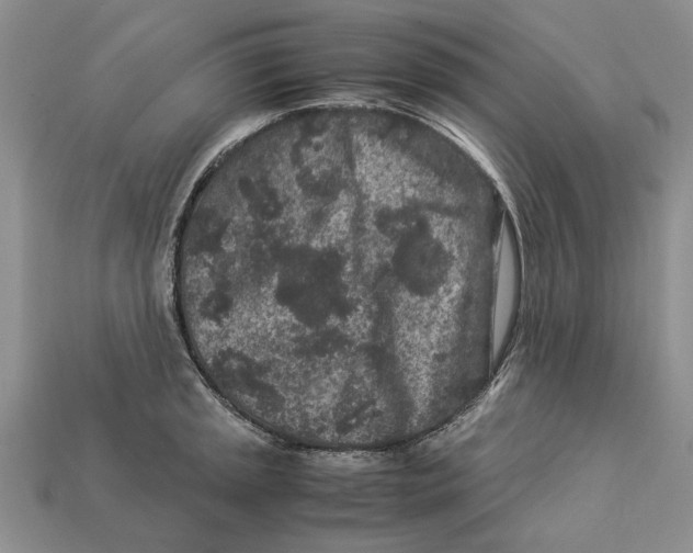 X0000113041045200909241430