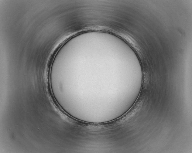 X0000113041046200909241430