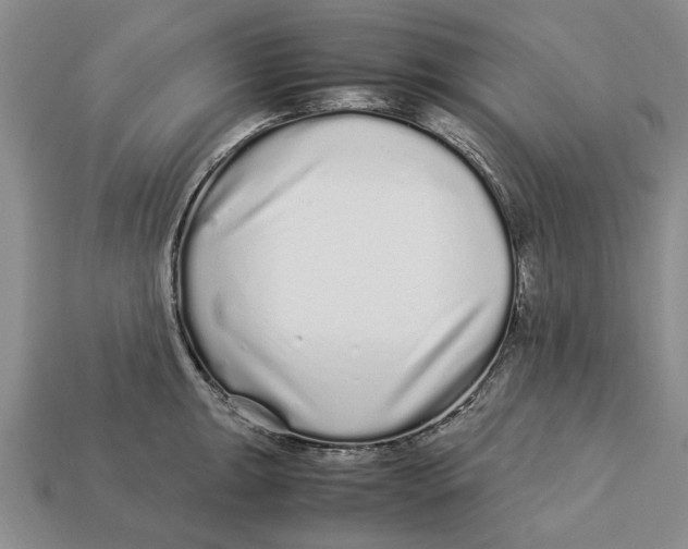 X0000113041047200909241430