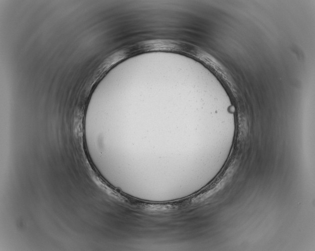 X0000113041049200909241430