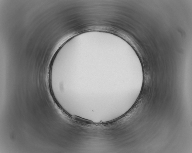X0000113041050200909241430