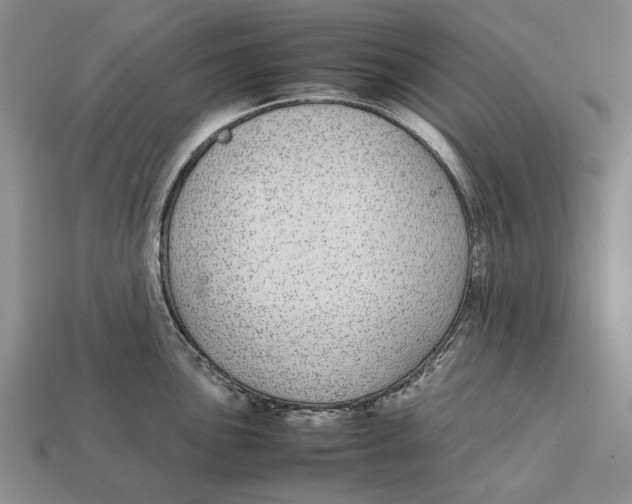 X0000113041051200909241430