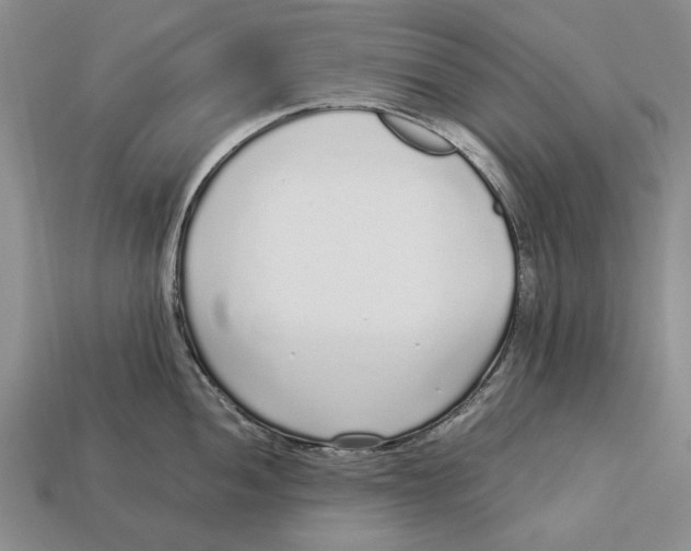X0000113041052200909241430