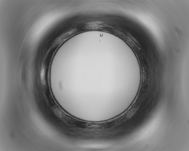 X0000113041054200909241430