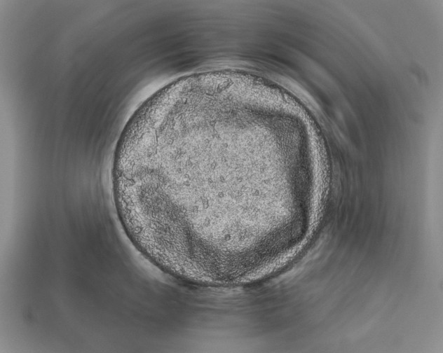 X0000113041055200909241430