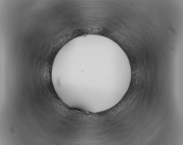 X0000113041058200909241430