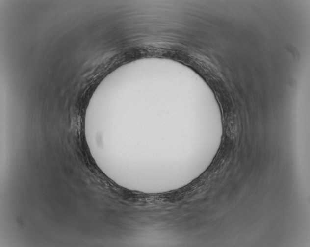 X0000113041061200909241429