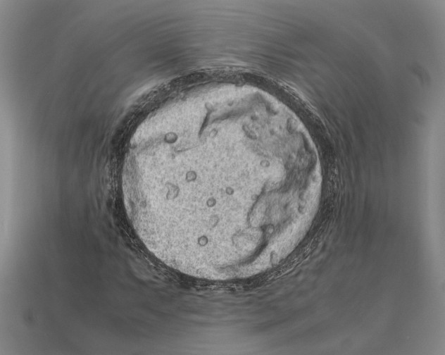 X0000113041063200909241429