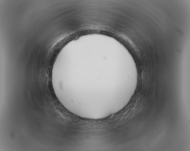 X0000113041064200909241429