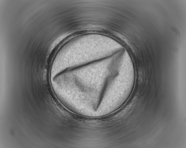 X0000113041066200909241429