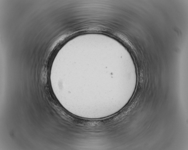 X0000113041067200909241429