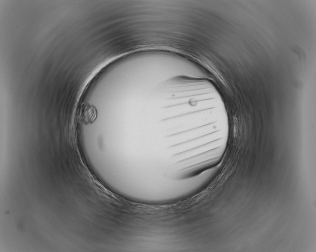 X0000113041068200909241429