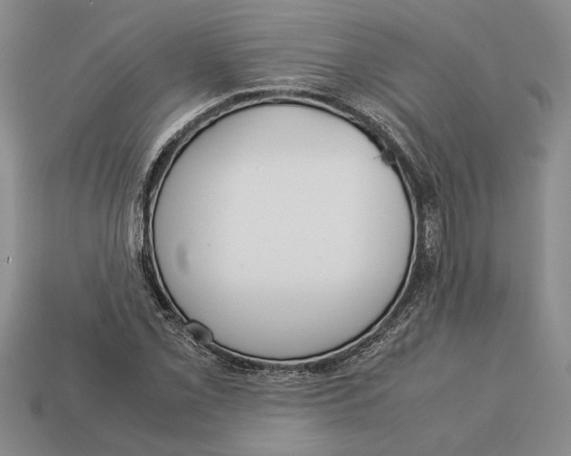 X0000113041069200909241429