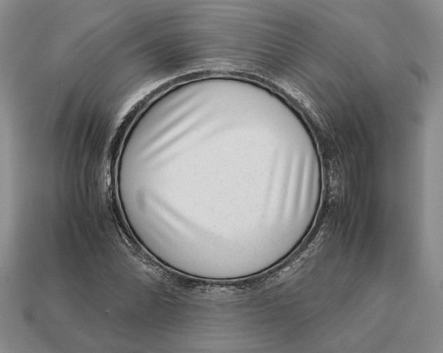 X0000113041070200909241429