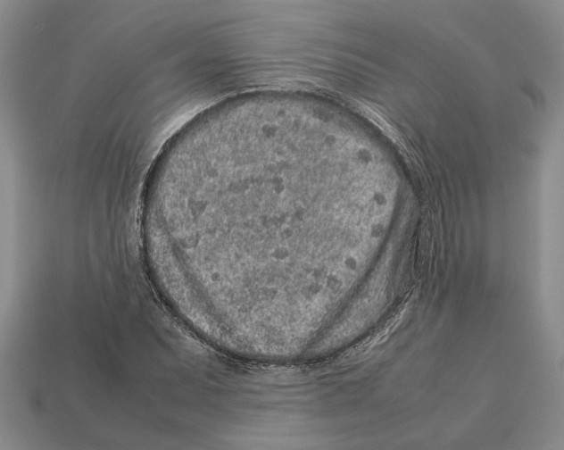 X0000113041071200909241429