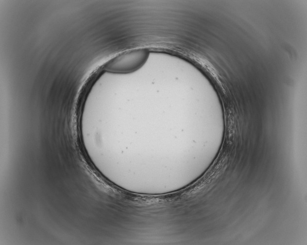 X0000113041072200909241429