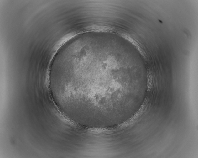 X0000113041074200909241429