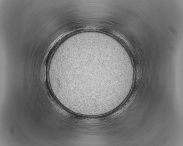 X0000113041075200909241429
