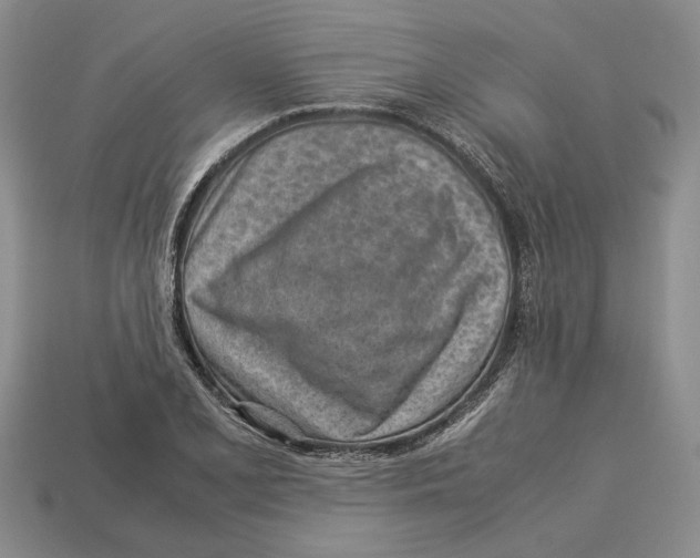 X0000113041077200909241429