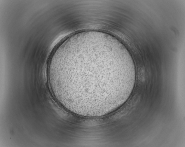 X0000113041078200909241429