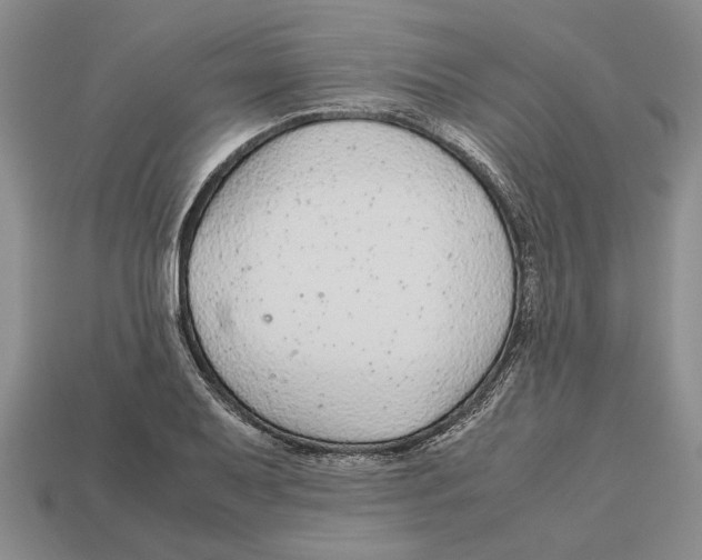 X0000113041079200909241429