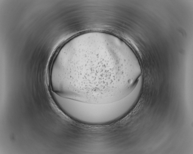 X0000113041080200909241429