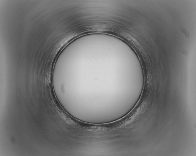 X0000113041081200909241429
