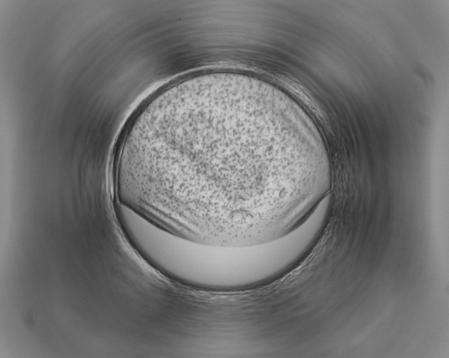 X0000113041084200909241429