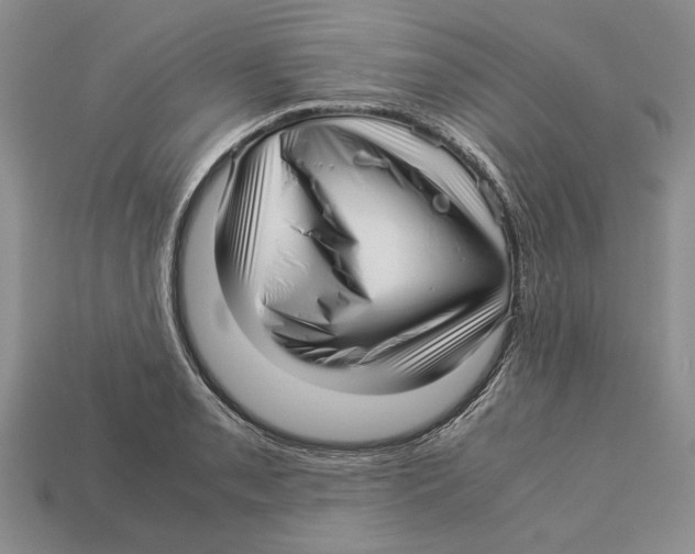 X0000113041085200909241429