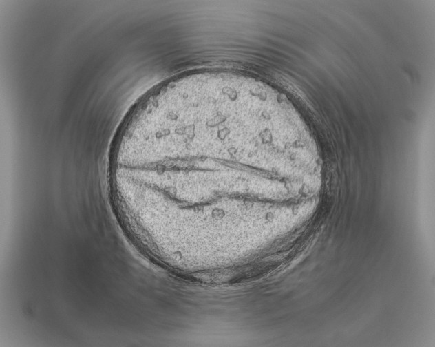 X0000113041087200909241429