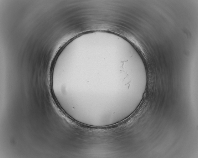 X0000113041088200909241429