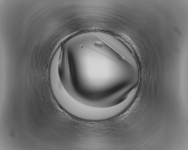 X0000113041089200909241429