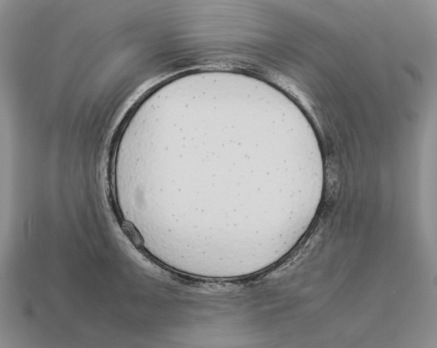 X0000113041091200909241429