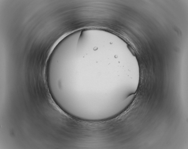 X0000113041092200909241429