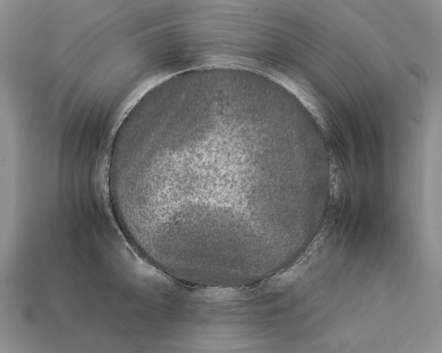X0000113041094200909241429