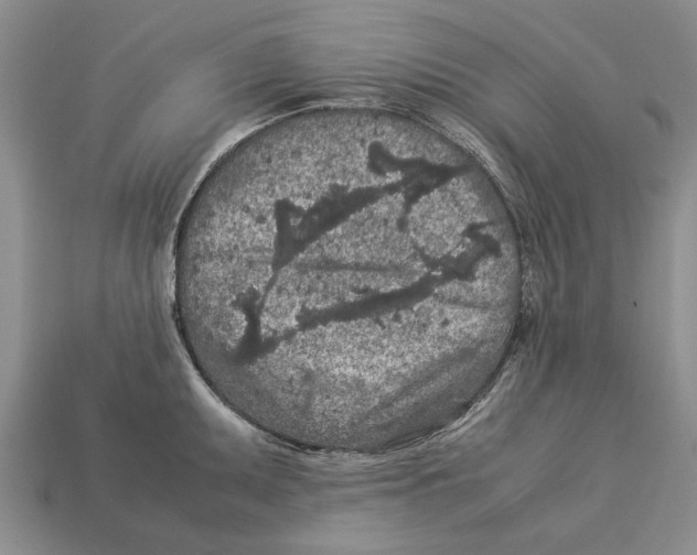X0000113041095200909241429