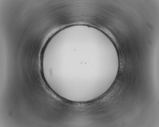 X0000113041096200909241429