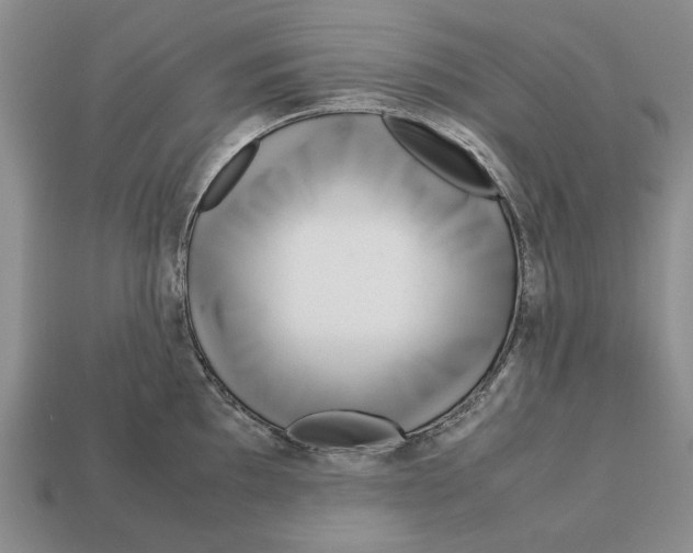 X0000113041097200909241429