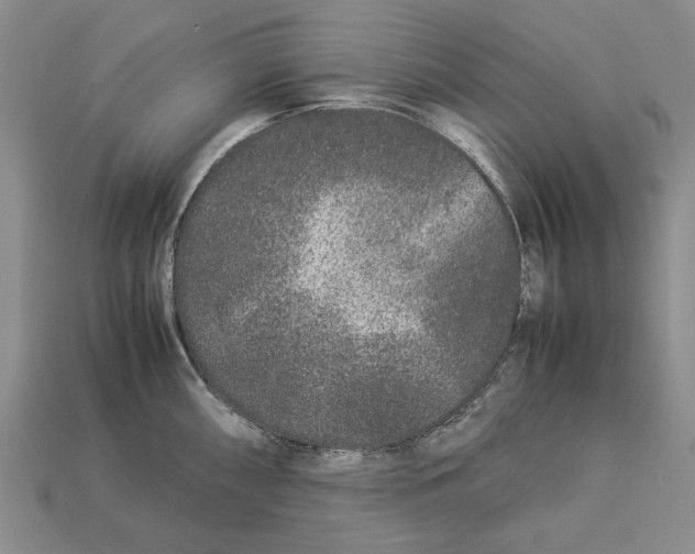 X0000113041098200909241429