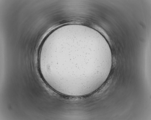 X0000113041099200909241429