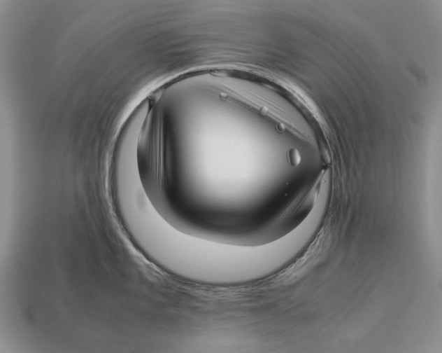 X0000113041101200909241429