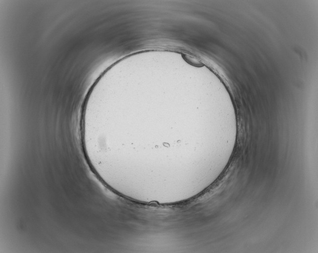 X0000113041103200909241429