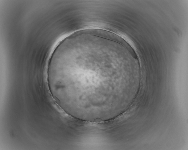 X0000113041104200909241429