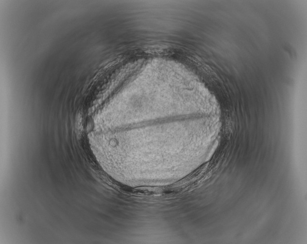 X0000113041106200909241428