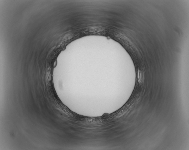 X0000113041107200909241428
