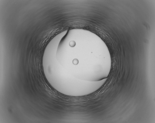 X0000113041108200909241428
